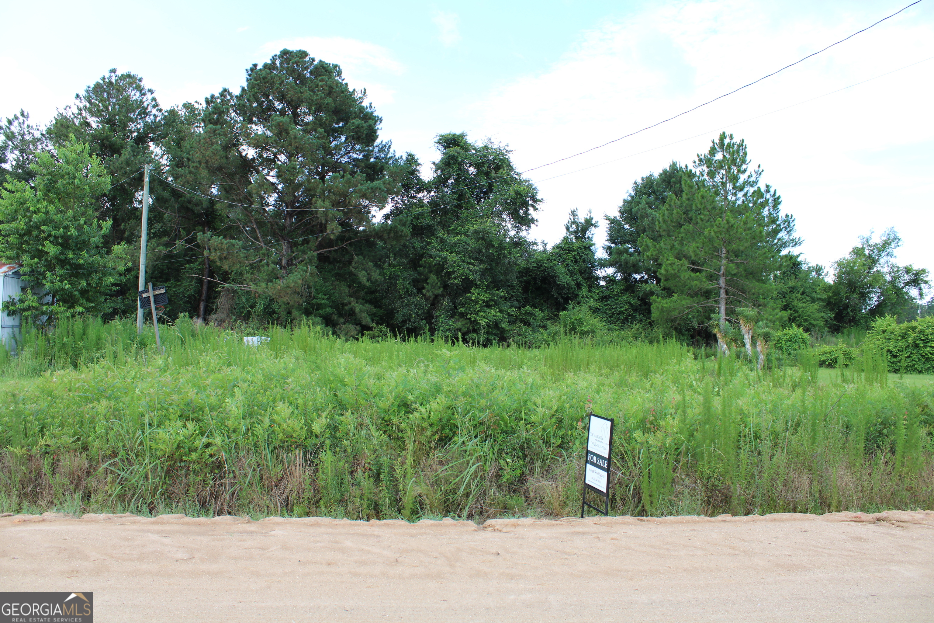 0 Griffin Road Baxley, GA 31513 - Photo 7 of 7