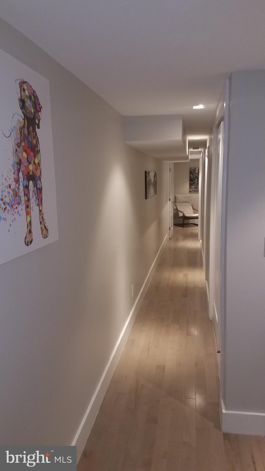 41 Q Street Northwest, Unit B Washington, DC 20001 - Photo 18 of 21 Vibrant hallway with artistic flair.