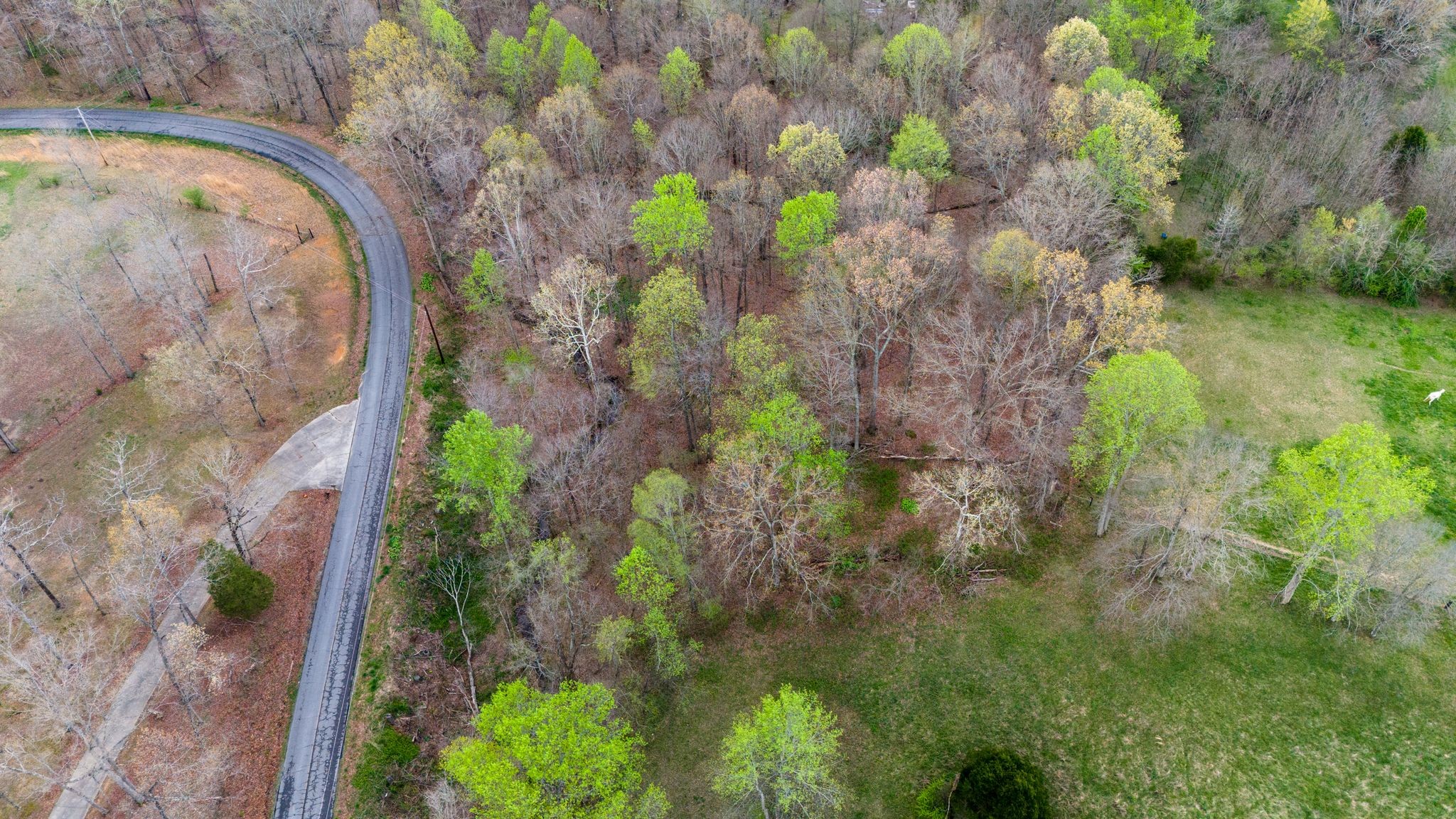 0 Town Branch Road Charlotte, TN 37036 - Photo 5 of 7 Gallery Image 5