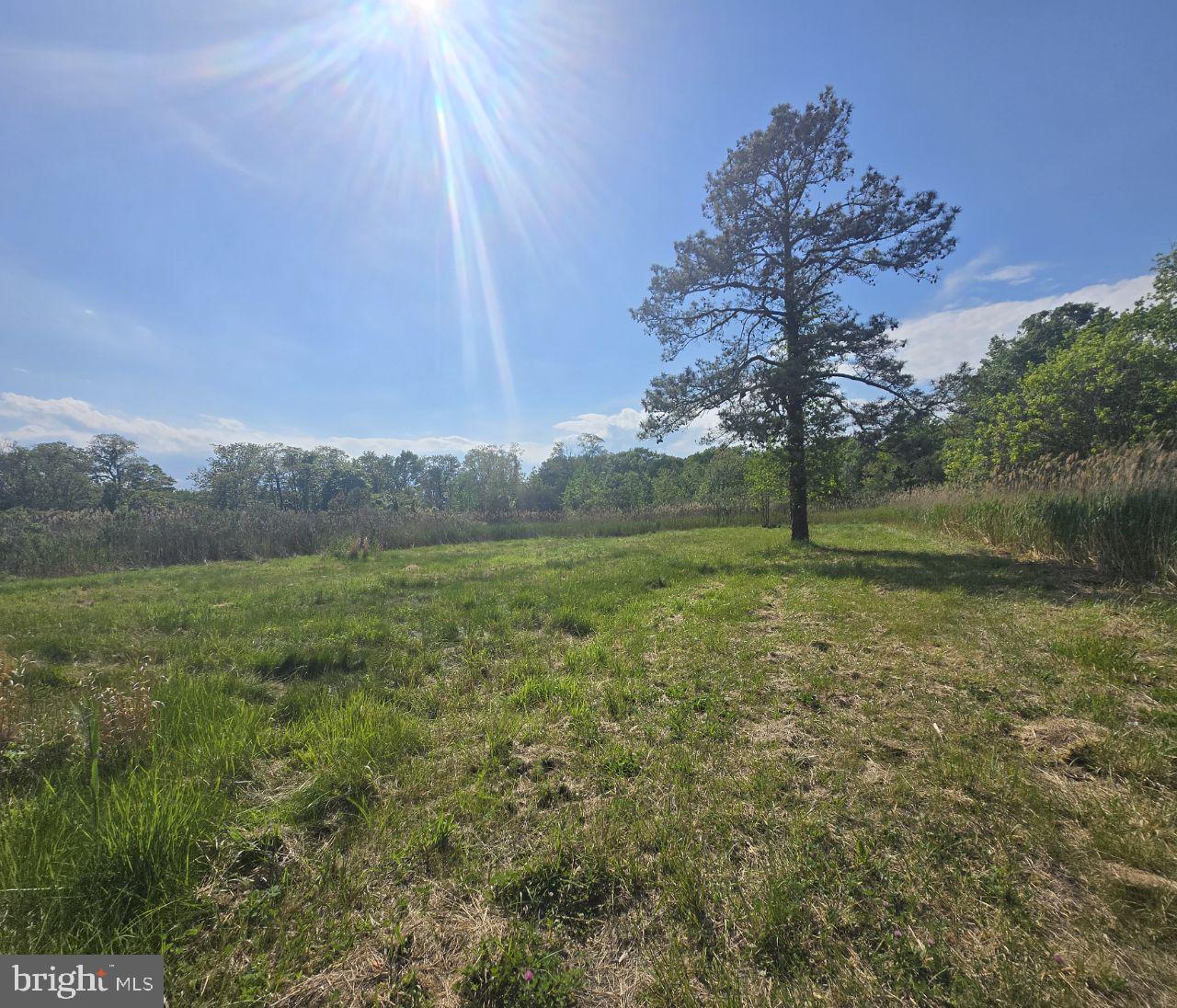 5120 Eastern Neck Road Rock Hall, MD 21661 - Photo 2 of 5 a view of outdoor space with green field and trees