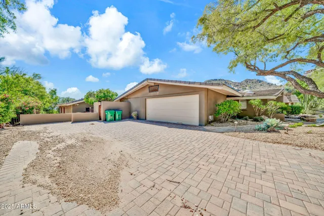 a view of a yard with plants and trees