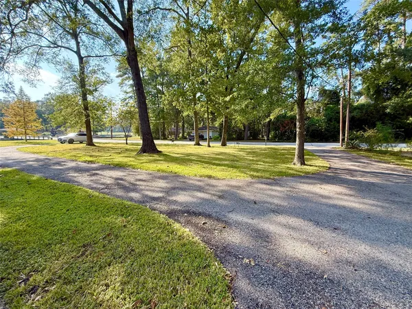a view of a park with large trees