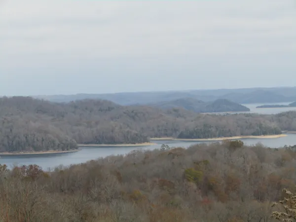 a view of a lake from a yard