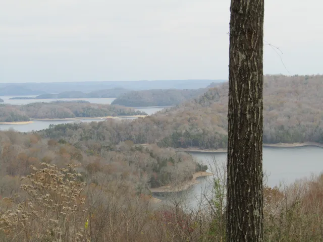a view of a yard next to a lake