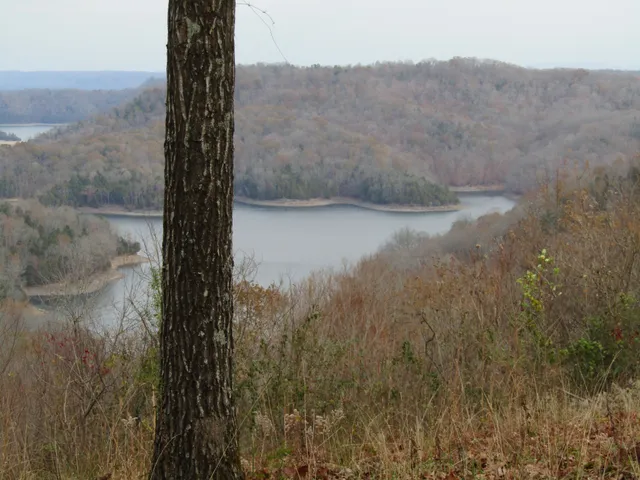 a view of a lake from a yard