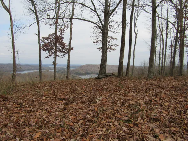 a view of a backyard of the house
