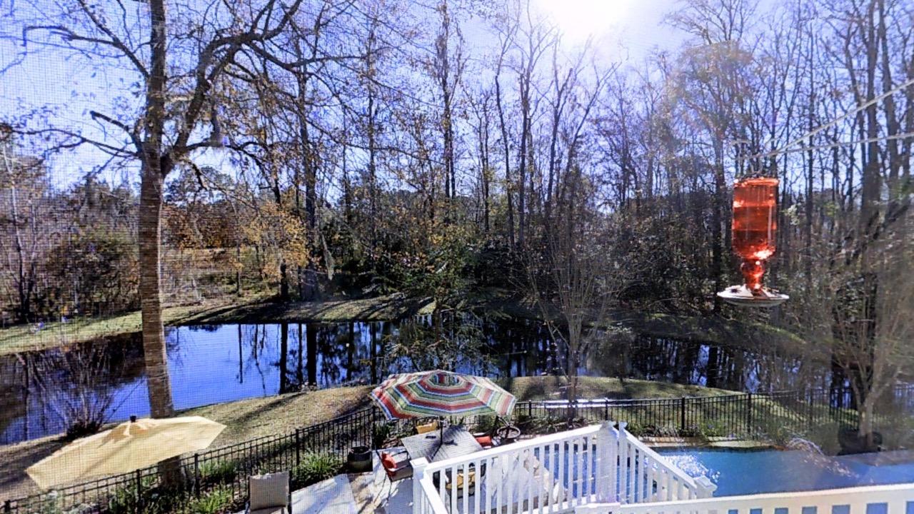 1175 Quick Rabbit Loop Charleston, SC 29414 - Photo 22 of 47 01302016_101352
