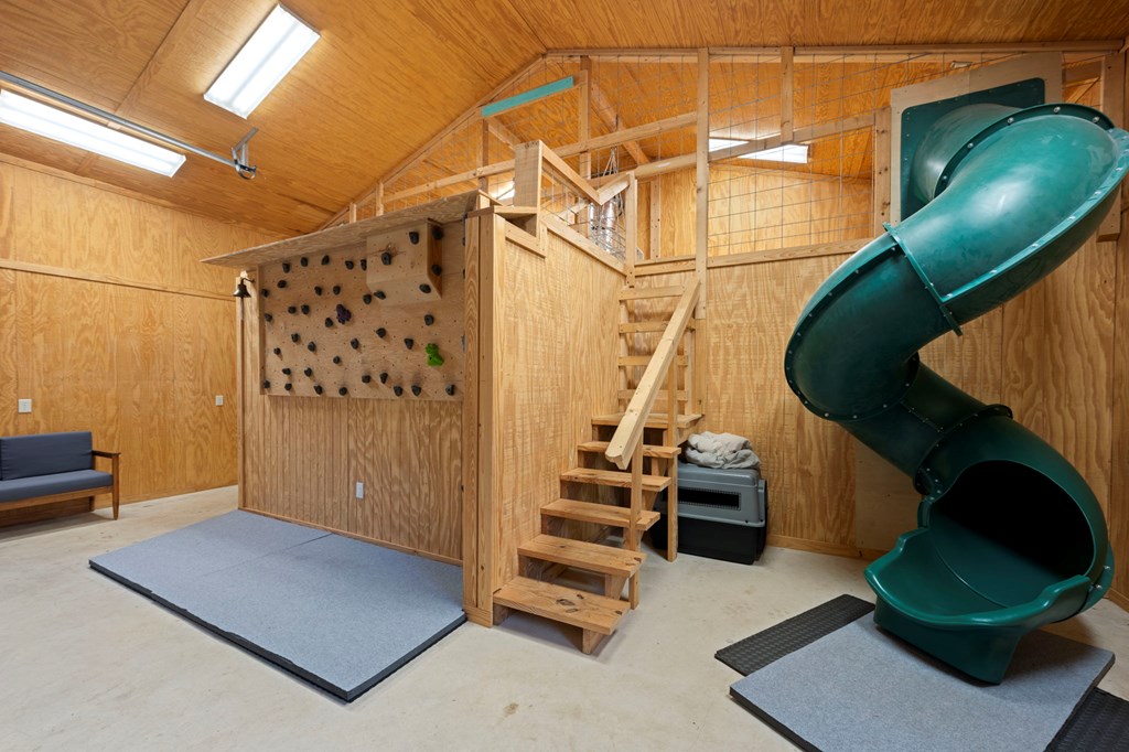 2269 Old Rocksprings Road Leakey, TX 78873 - Photo 26 of 55