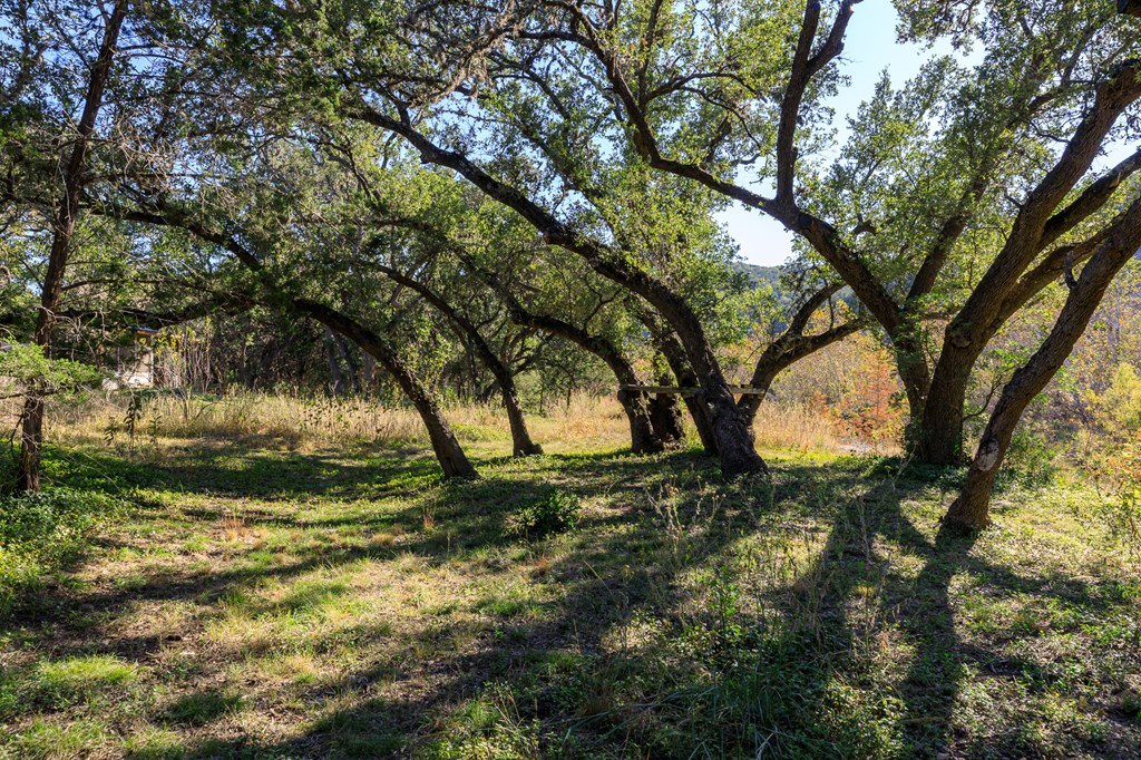 2269 Old Rocksprings Road Leakey, TX 78873 - Photo 41 of 55