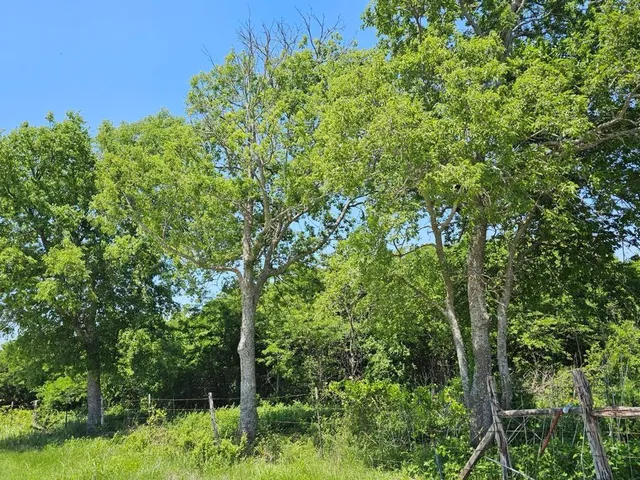 $195,500 | 3242 St Hubbard Tx 76648, Mount Calm, TX 76673