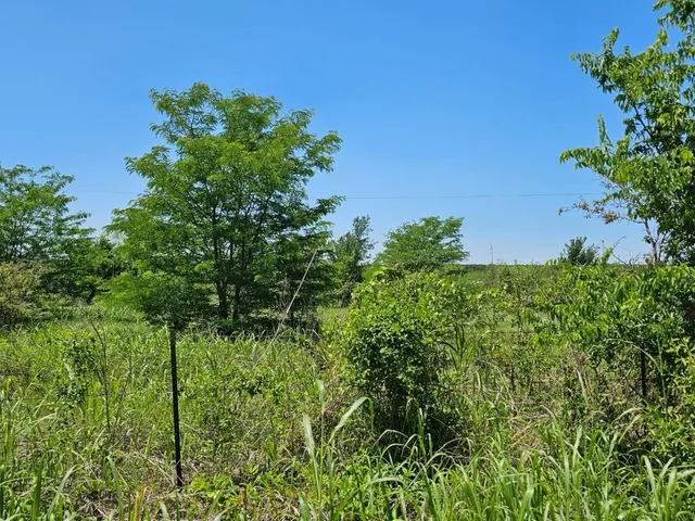 $195,500 | 3242 St Hubbard Tx 76648, Mount Calm, TX 76673