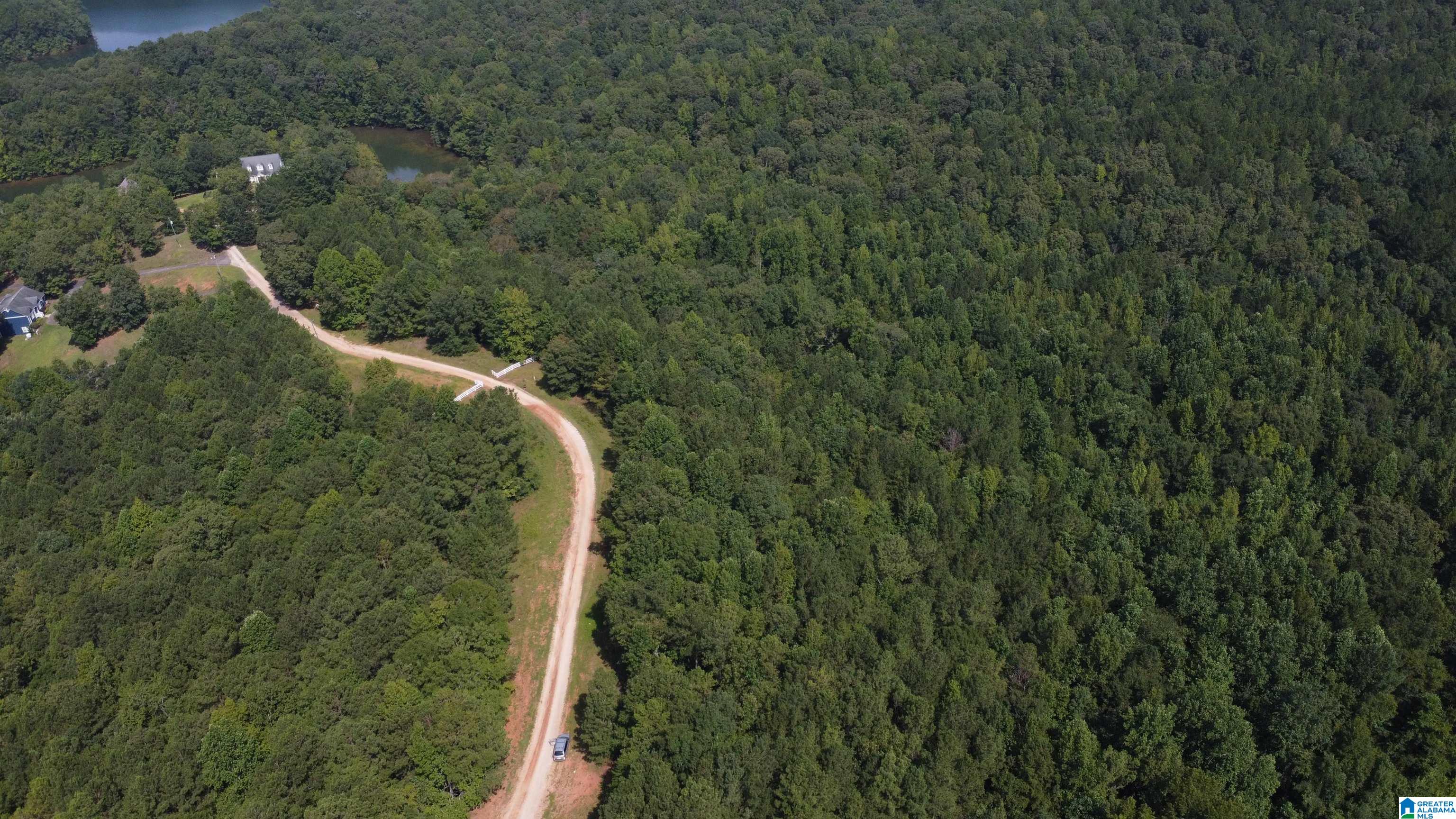 Lane Branch Road Wedowee, AL 36278 - Photo 7 of 12