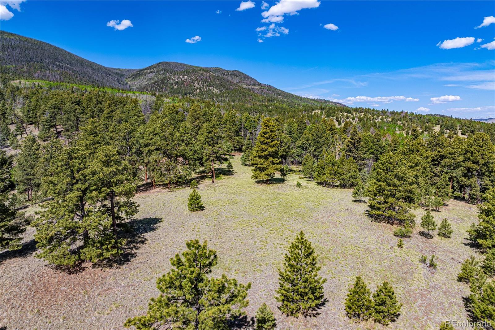 298 Steven Road Canon City, CO 81212 - Photo 21 of 35