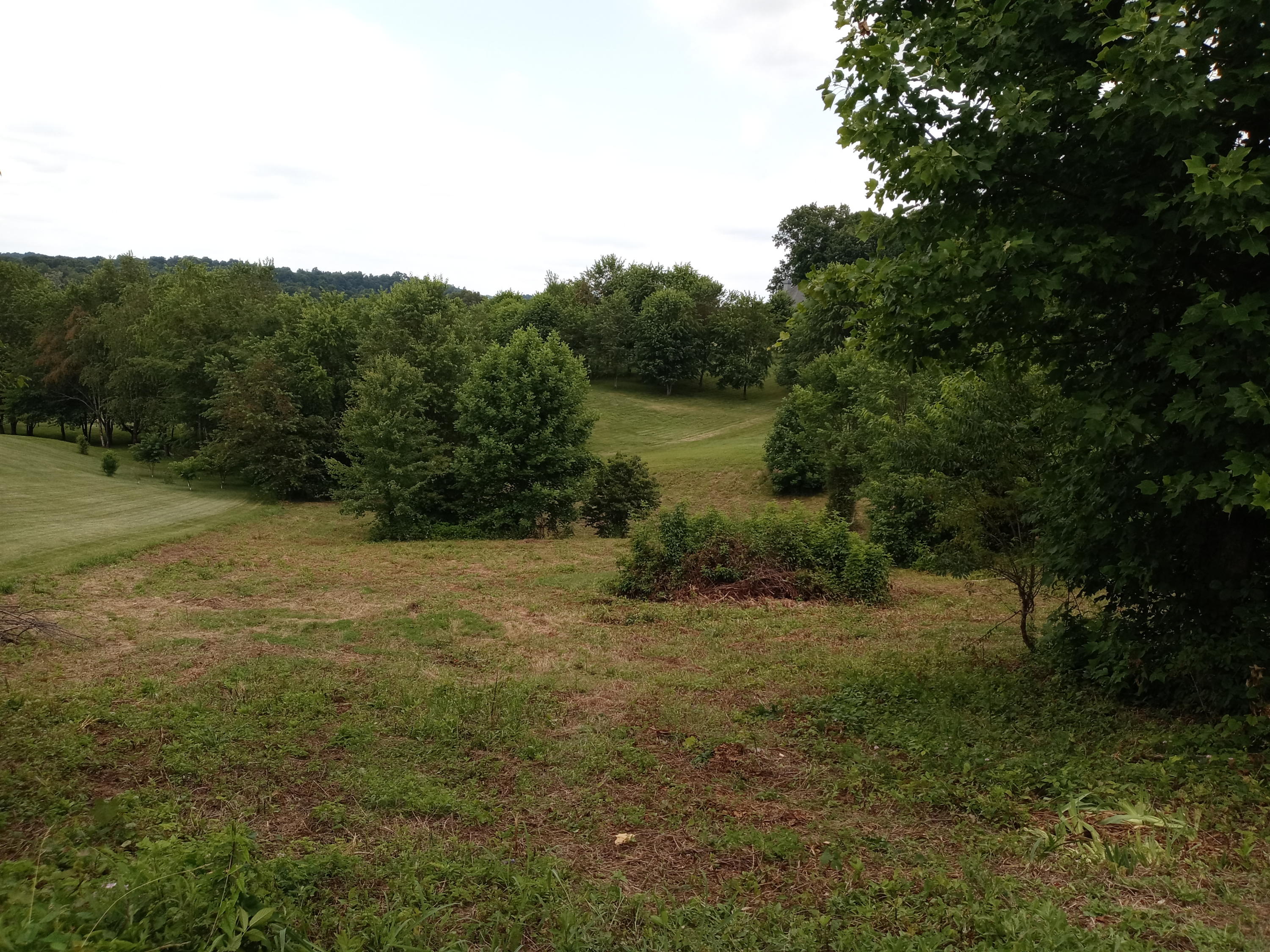 226 Hales Road Jonesborough, TN 37659 - Photo 1 of 19 20210704_153535