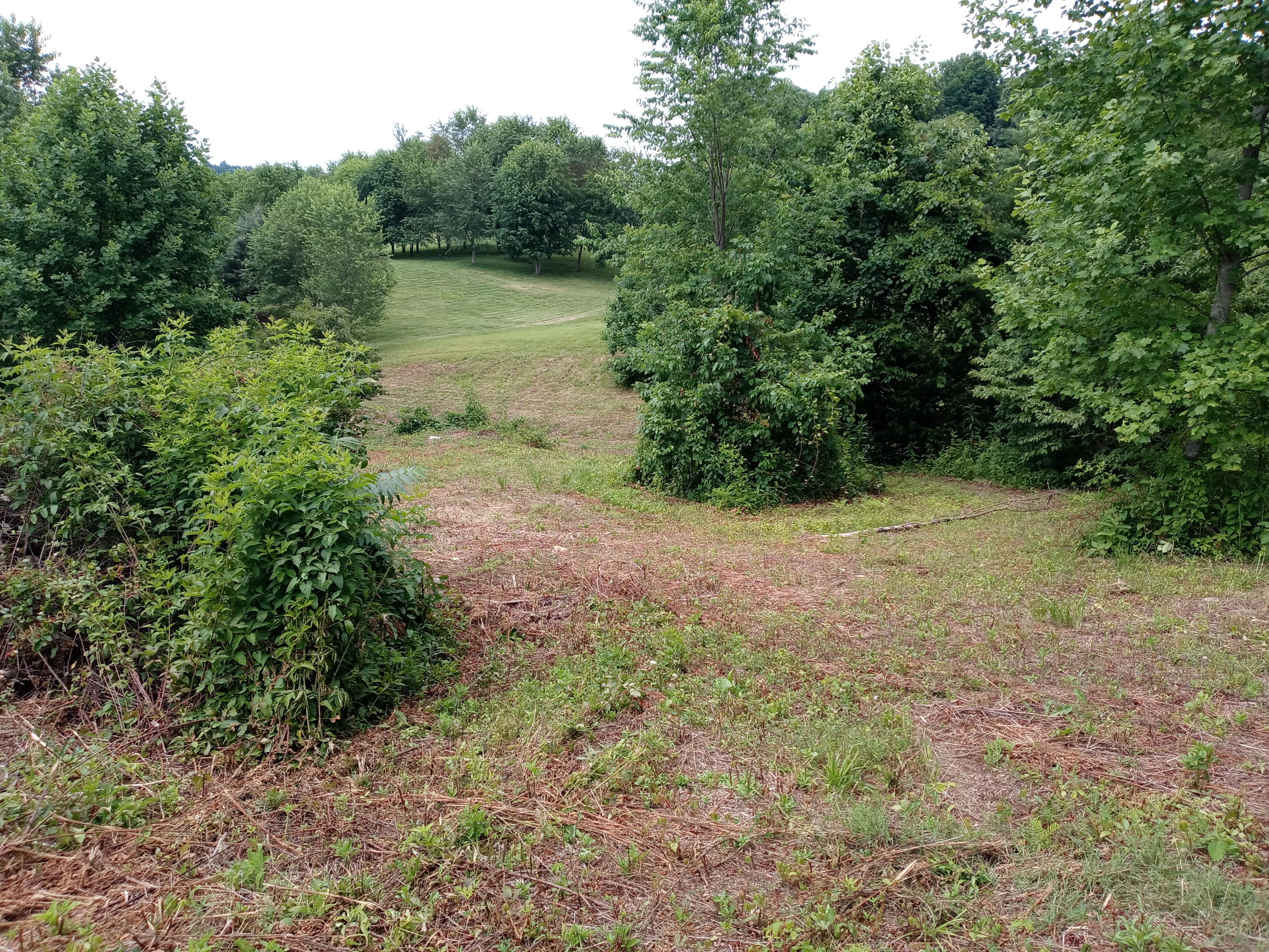 226 Hales Road Jonesborough, TN 37659 - Photo 12 of 19 20210704_153149