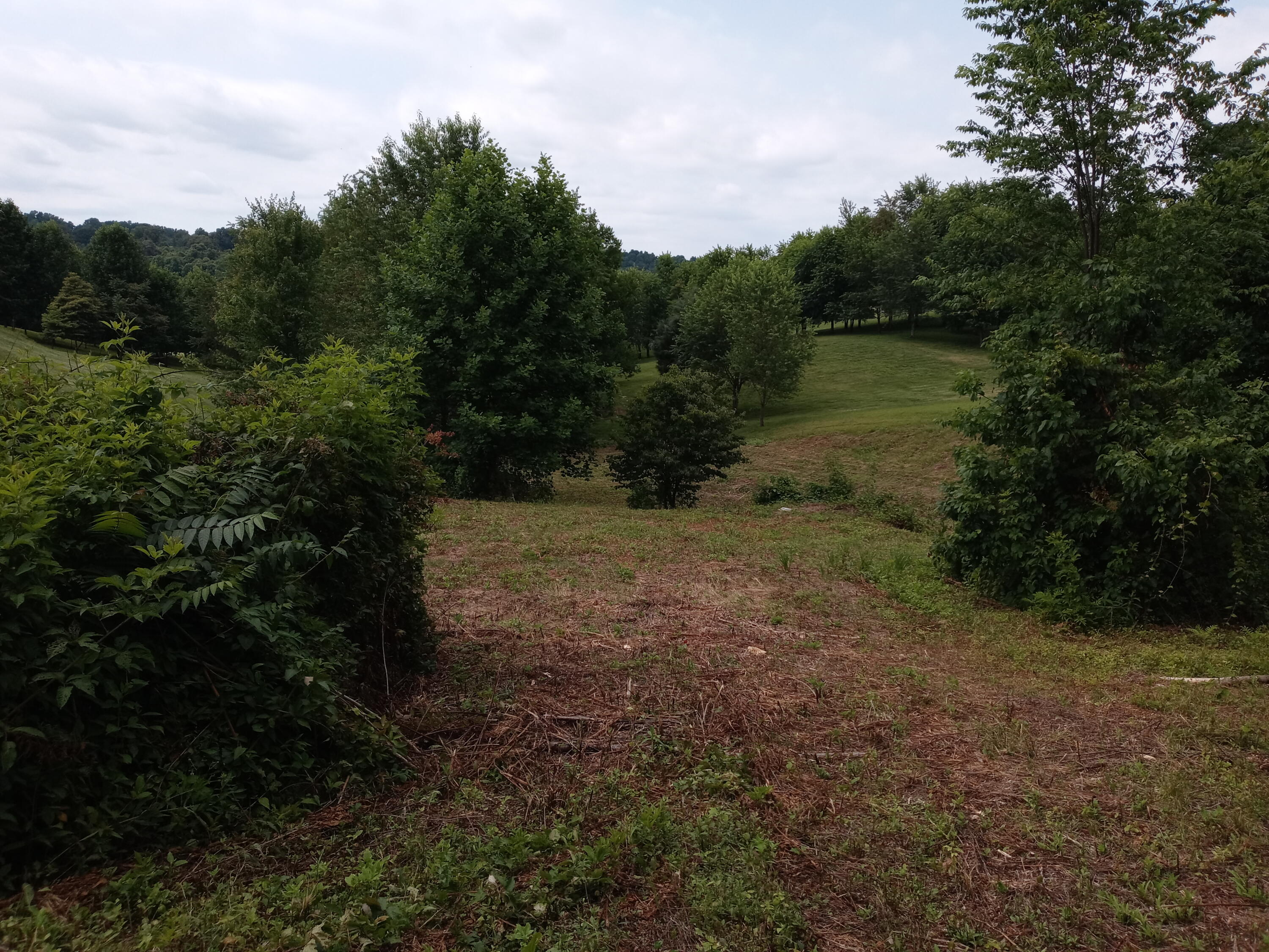 226 Hales Road Jonesborough, TN 37659 - Photo 13 of 19 20210704_153153