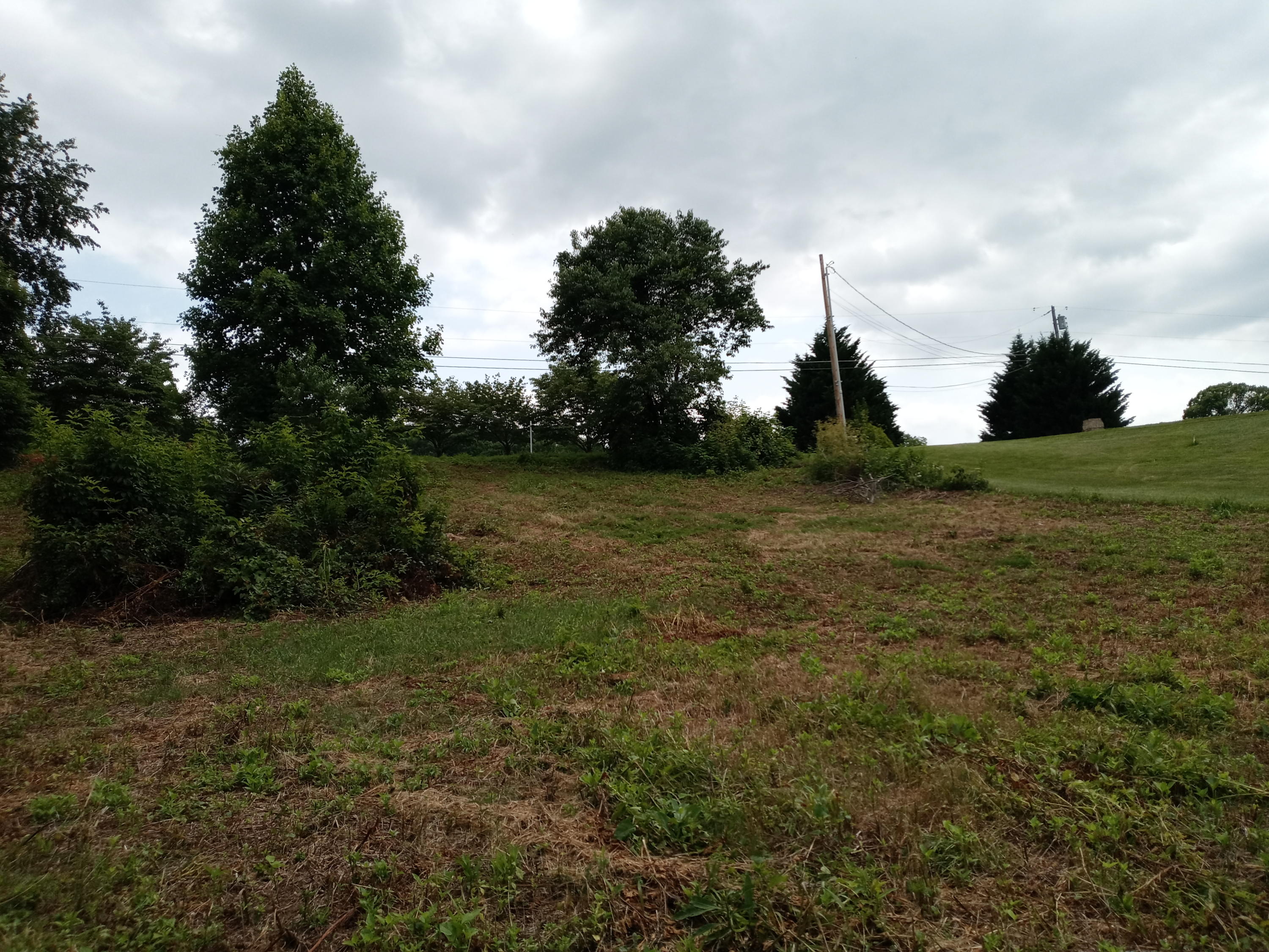 226 Hales Road Jonesborough, TN 37659 - Photo 14 of 19 20210704_153225