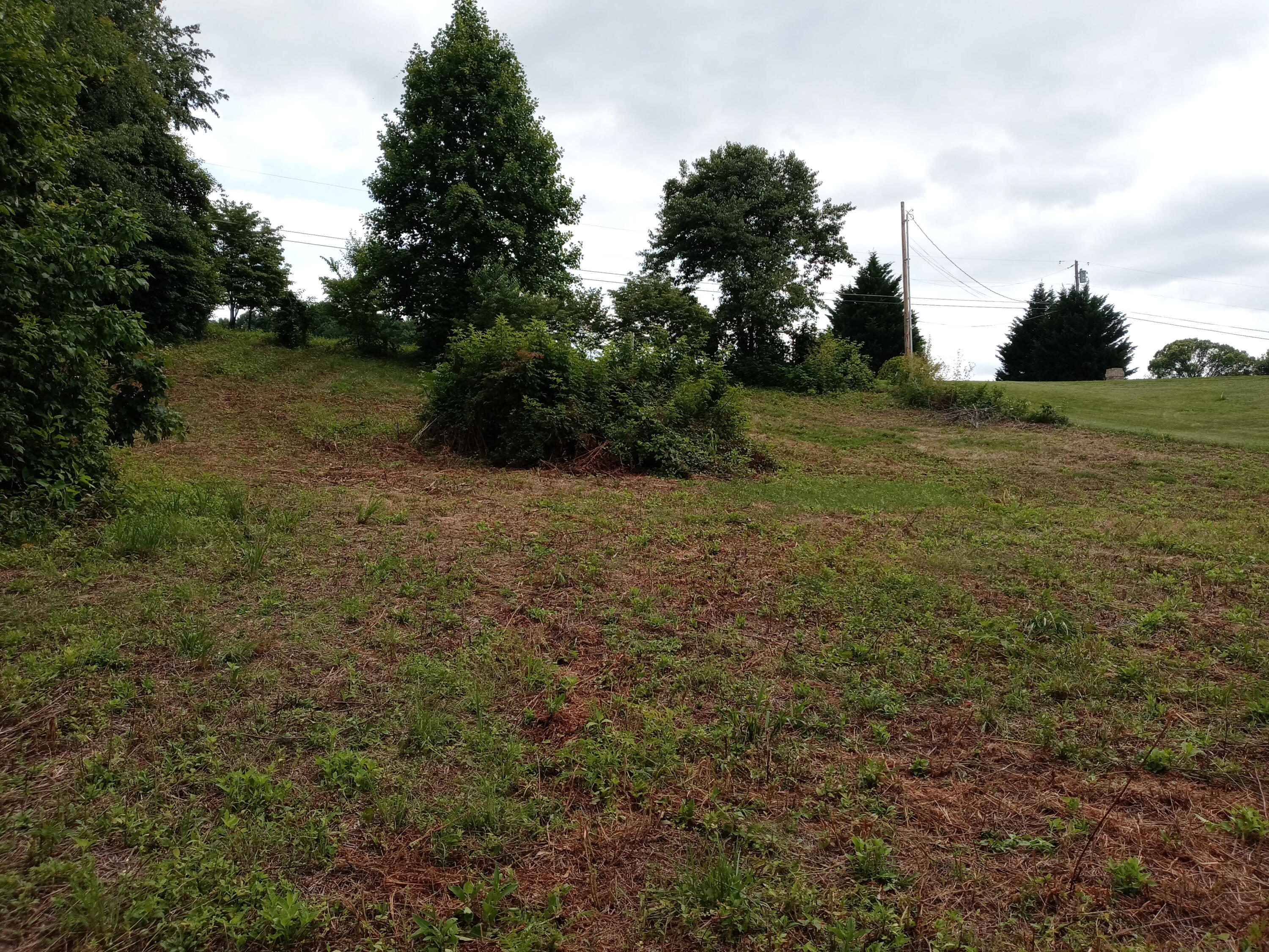 226 Hales Road Jonesborough, TN 37659 - Photo 15 of 19 20210704_153252 (1)
