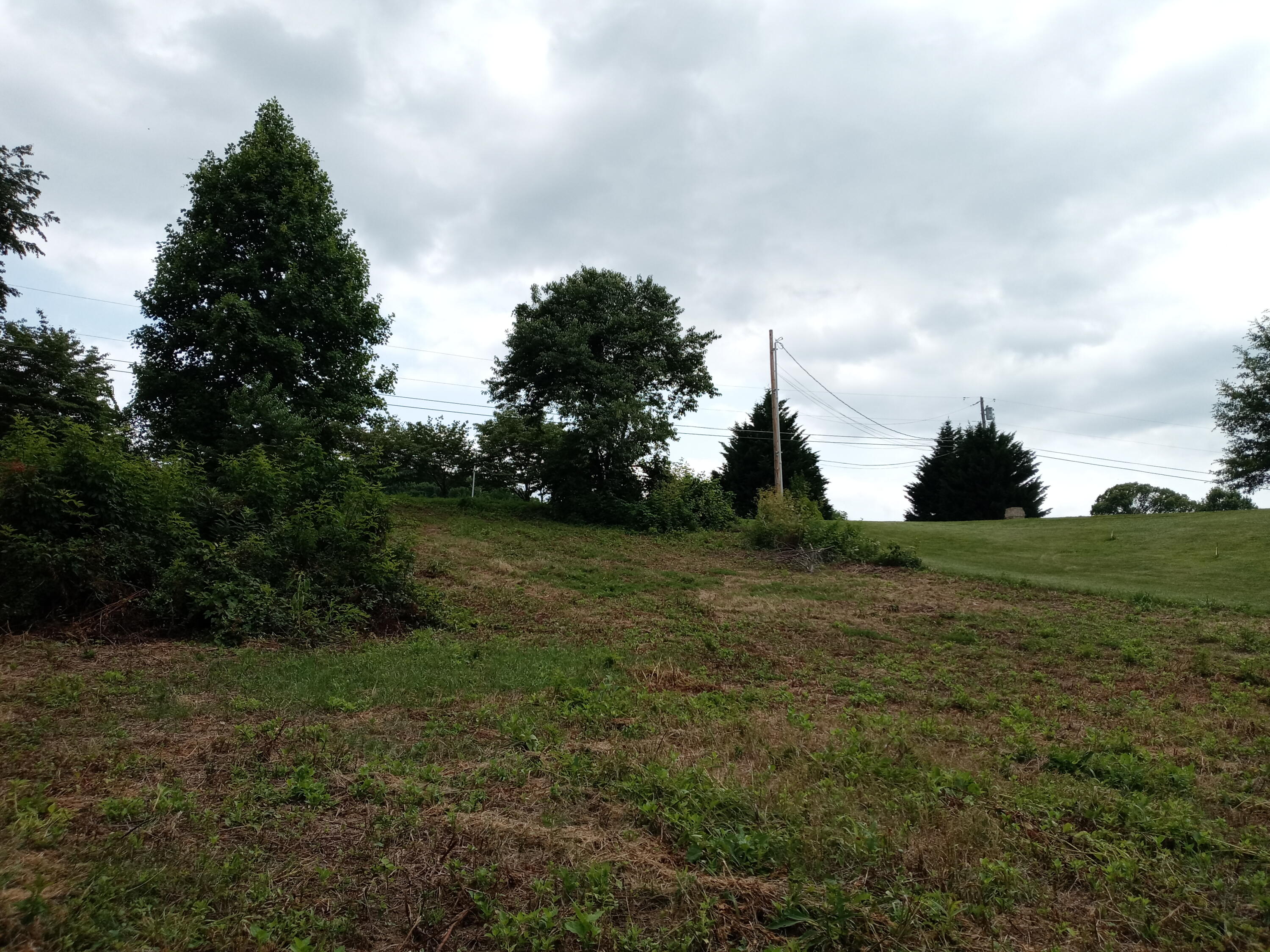 226 Hales Road Jonesborough, TN 37659 - Photo 16 of 19 20210704_153221
