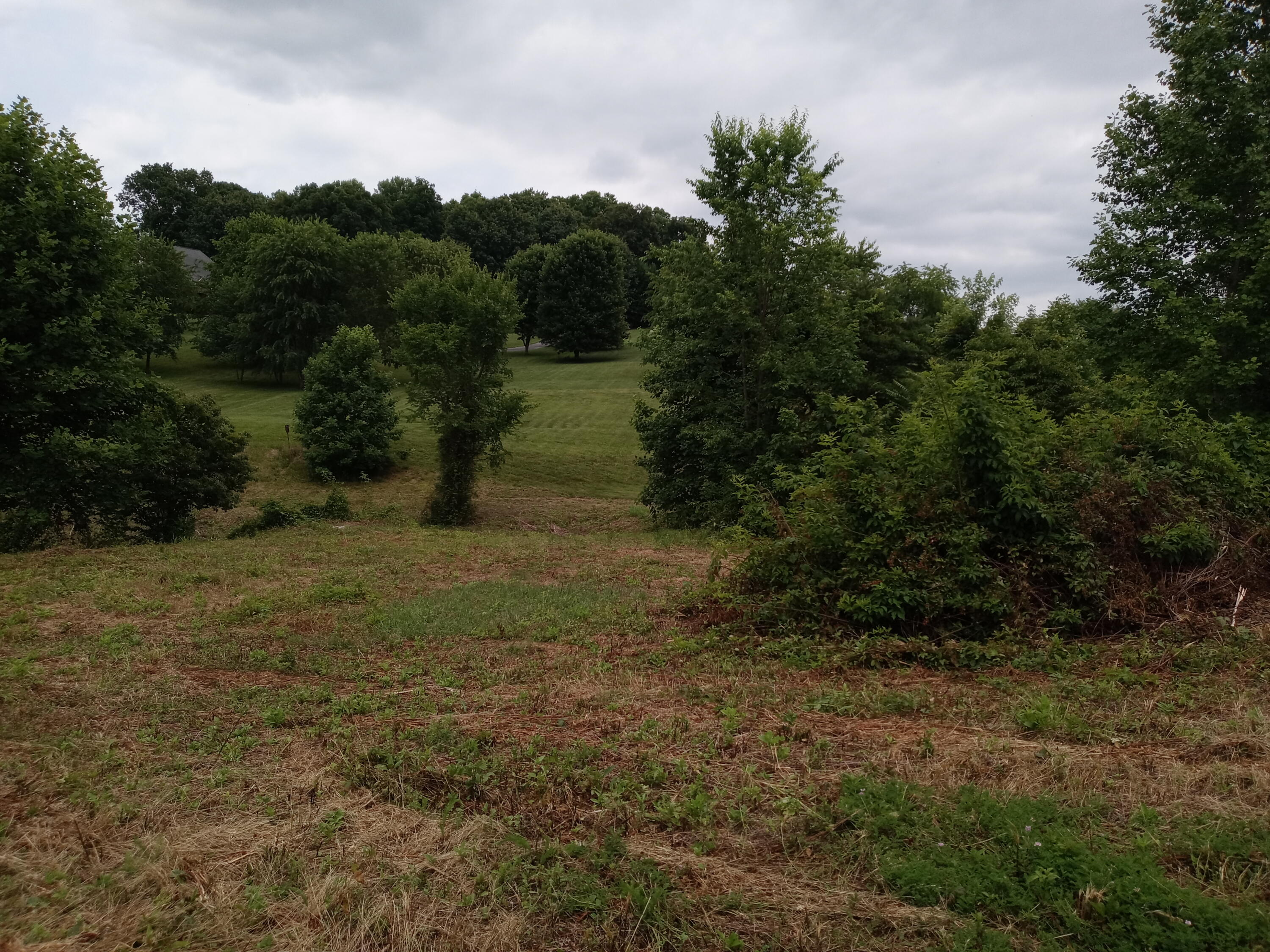 226 Hales Road Jonesborough, TN 37659 - Photo 17 of 19 20210704_153421 (1)