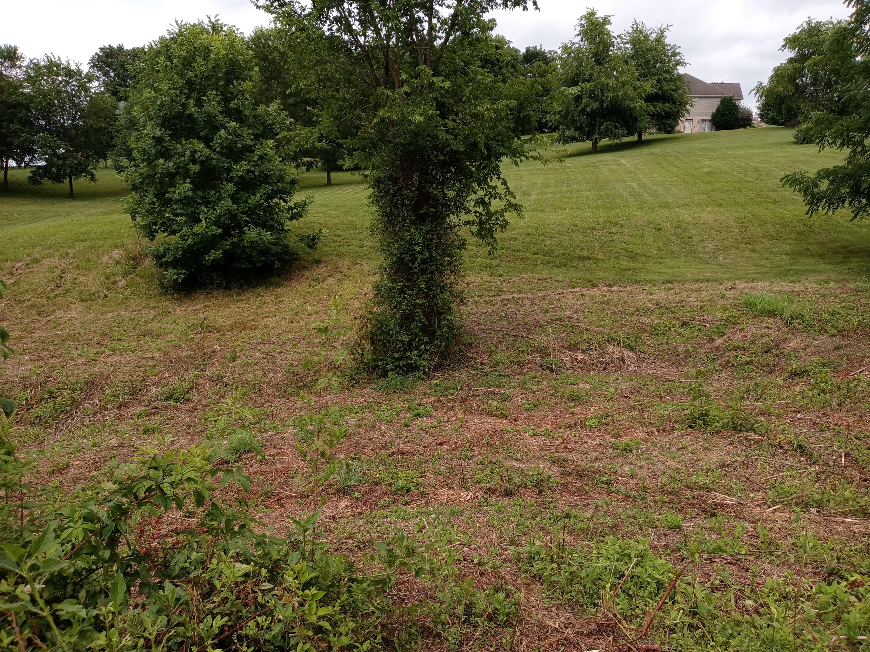 226 Hales Road Jonesborough, TN 37659 - Photo 19 of 19 20210704_153258 (1)