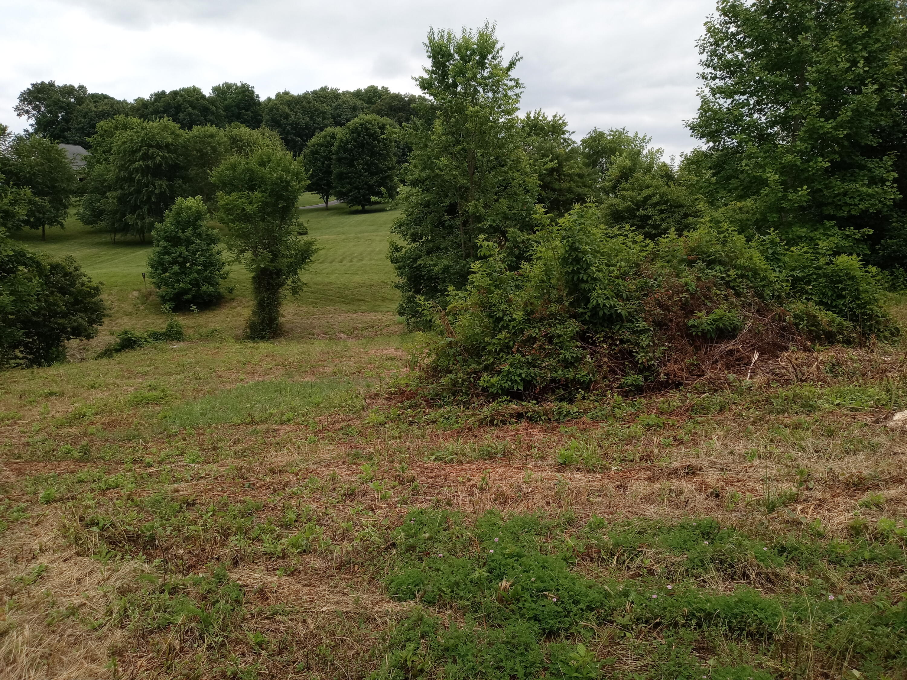 226 Hales Road Jonesborough, TN 37659 - Photo 5 of 19 20210704_153424
