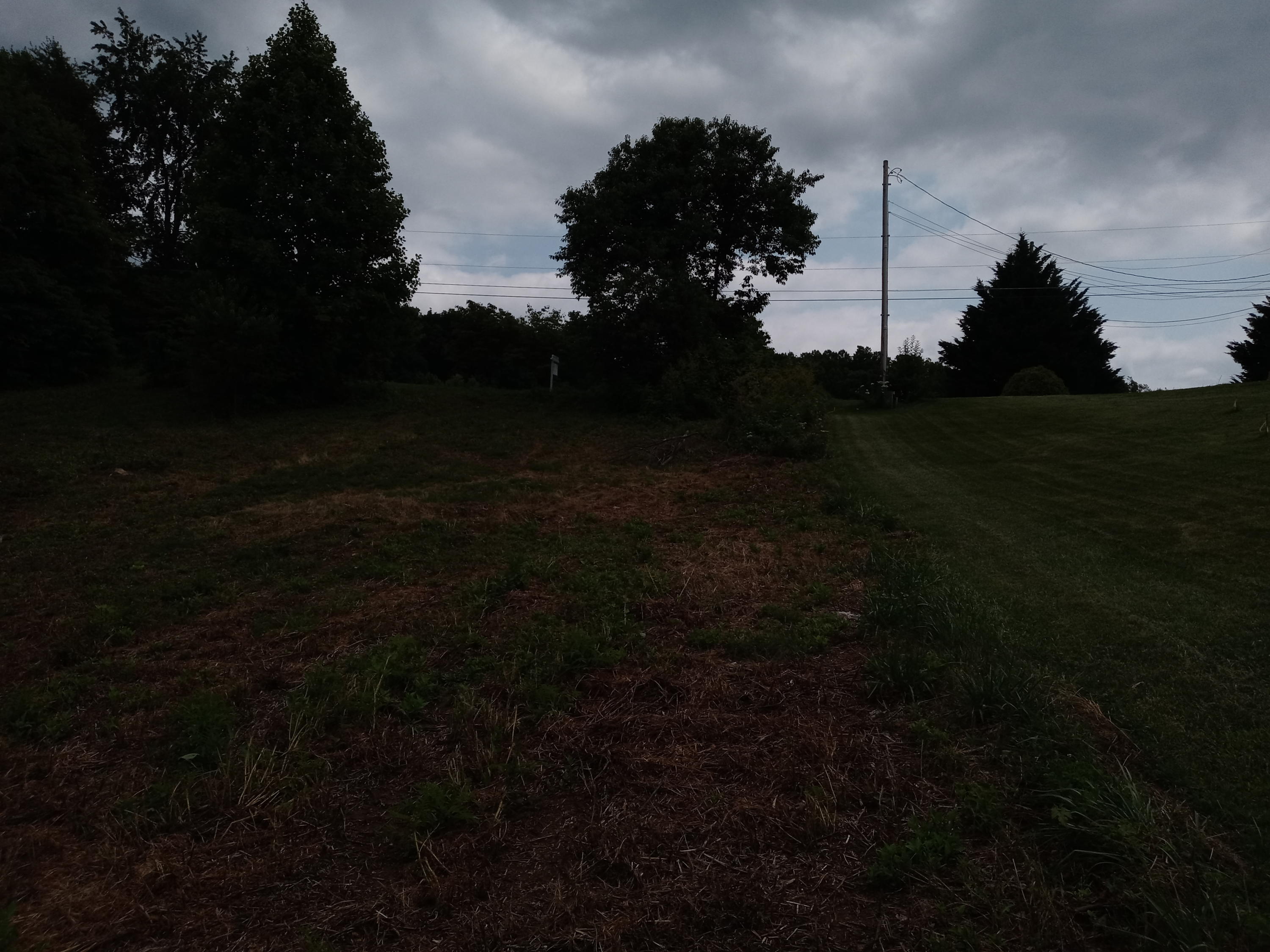 226 Hales Road Jonesborough, TN 37659 - Photo 6 of 19 20210704_153331