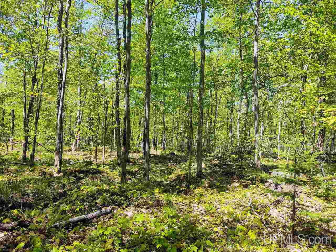 Tbd-parcel Point Abbaye Road Lanse, MI 49946 - Photo 12 of 25