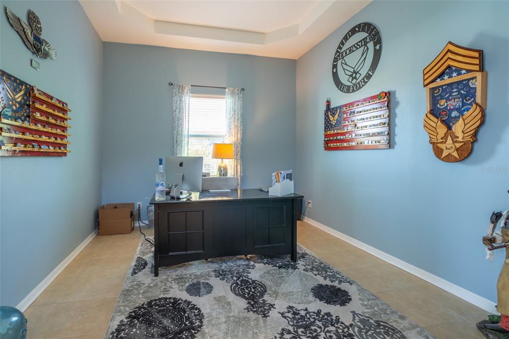 309 Royal Bonnet Drive Apollo Beach, FL 33572 - Photo 18 of 59 a room with painting on the wall and a window