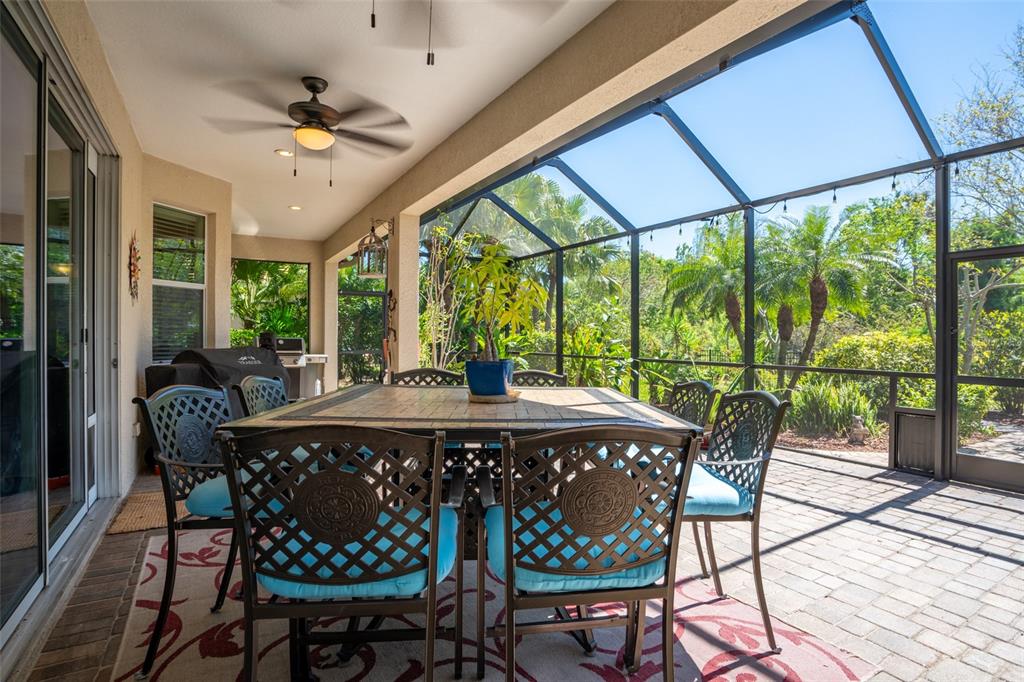 309 Royal Bonnet Drive Apollo Beach, FL 33572 - Photo 34 of 59 a view of an outside dining space with furniture window
