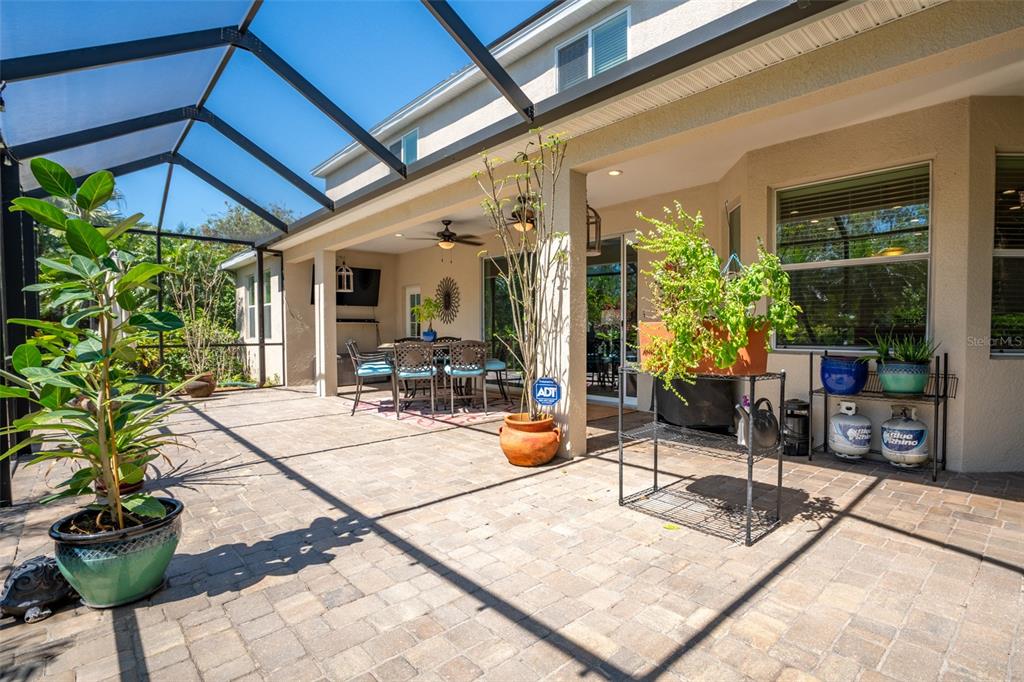 309 Royal Bonnet Drive Apollo Beach, FL 33572 - Photo 4 of 59 a view of a patio with table and chairs potted plants and a barbeque