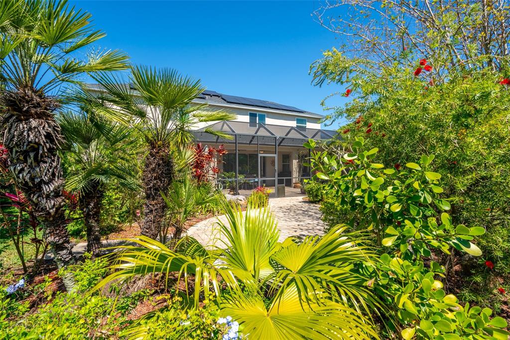 309 Royal Bonnet Drive Apollo Beach, FL 33572 - Photo 41 of 59 a view of a house with plants and sitting area
