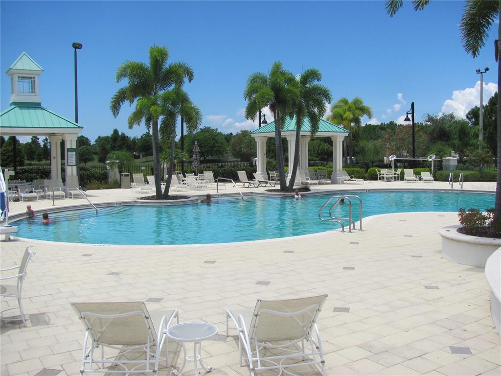 309 Royal Bonnet Drive Apollo Beach, FL 33572 - Photo 53 of 59 a view of a swimming pool and lounge chairs
