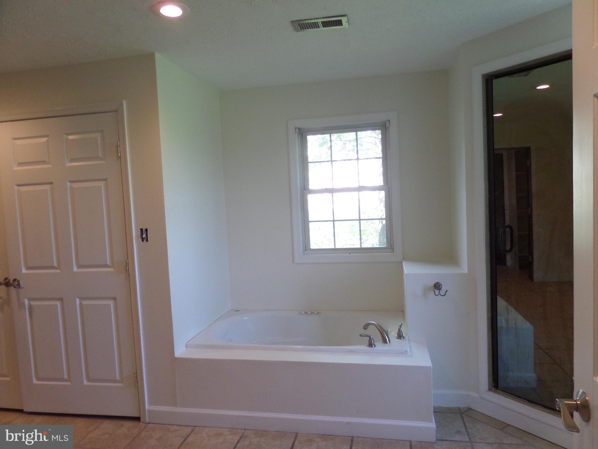 3542 Leetown Road Summit Point, WV 25446 - Photo 12 of 27 Bath (Master)