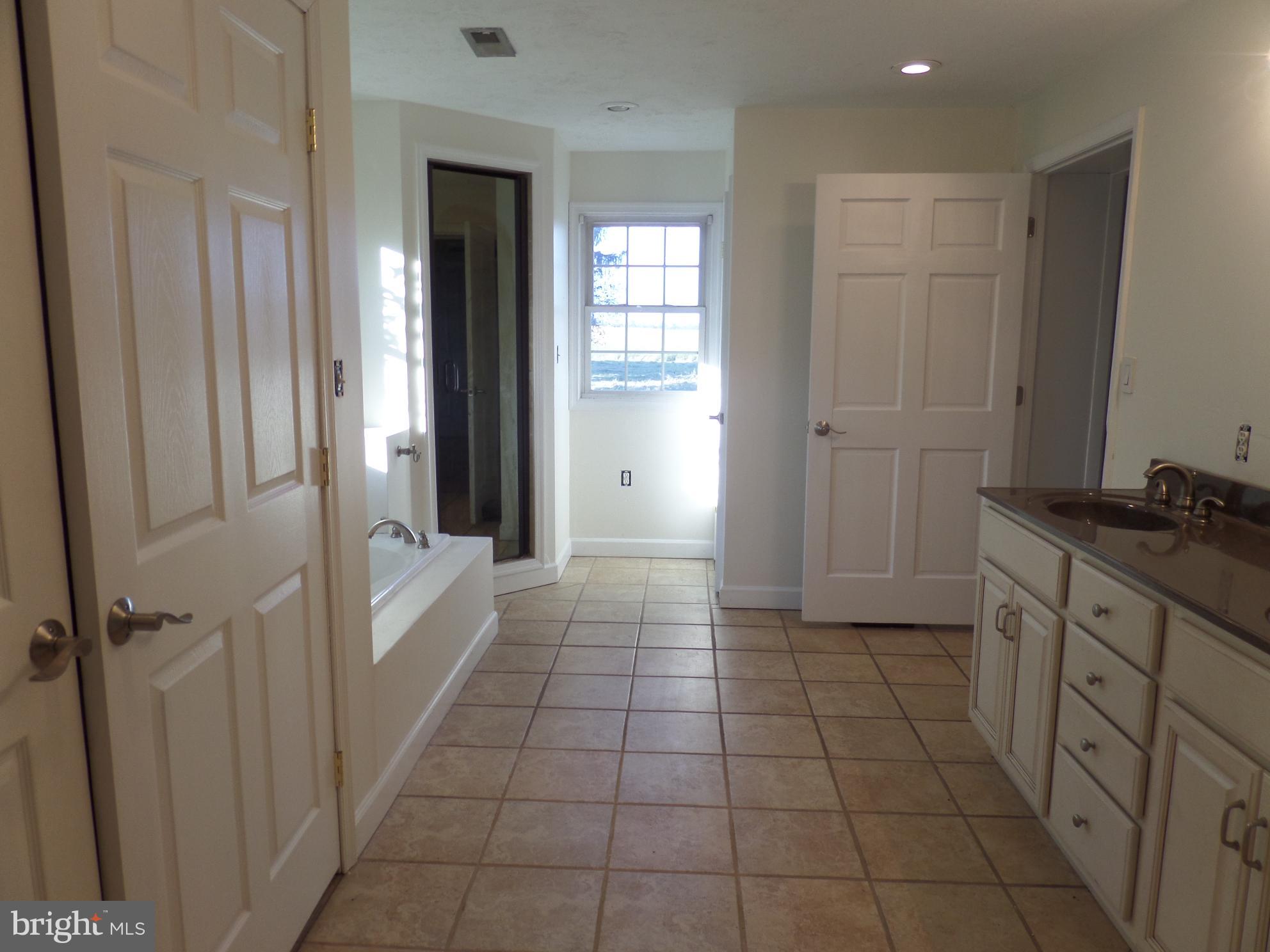 3542 Leetown Road Summit Point, WV 25446 - Photo 13 of 27 Bath (Master)
