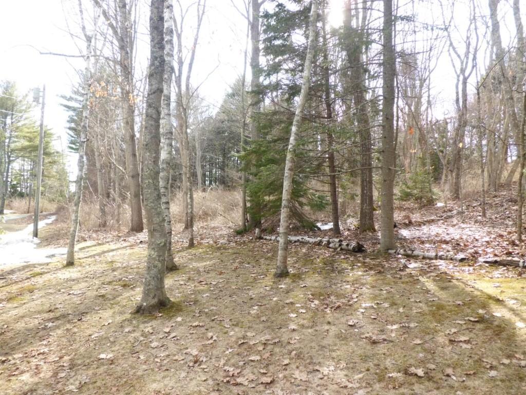 0 North No Fork Road Harpswell, ME 04079 - Photo 4 of 12 Very buildable site. Great for...