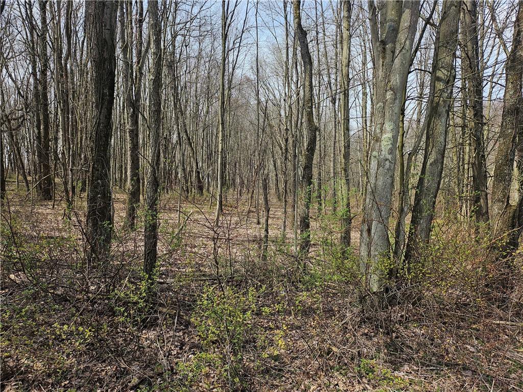 Lot 2 Book Road Volant, PA 16156 - Photo 1 of 8