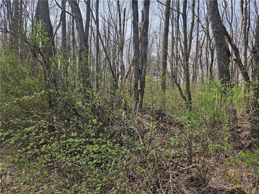 Lot 2 Book Road Volant, PA 16156 - Photo 6 of 8