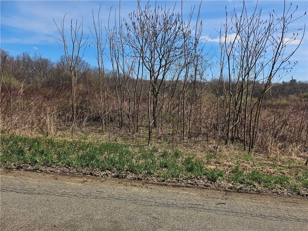 Lot 2 Book Road Volant, PA 16156 - Photo 8 of 8