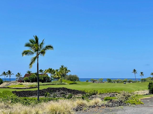 a view of a garden with a house