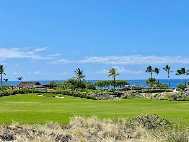 a view of a grassy field with trees