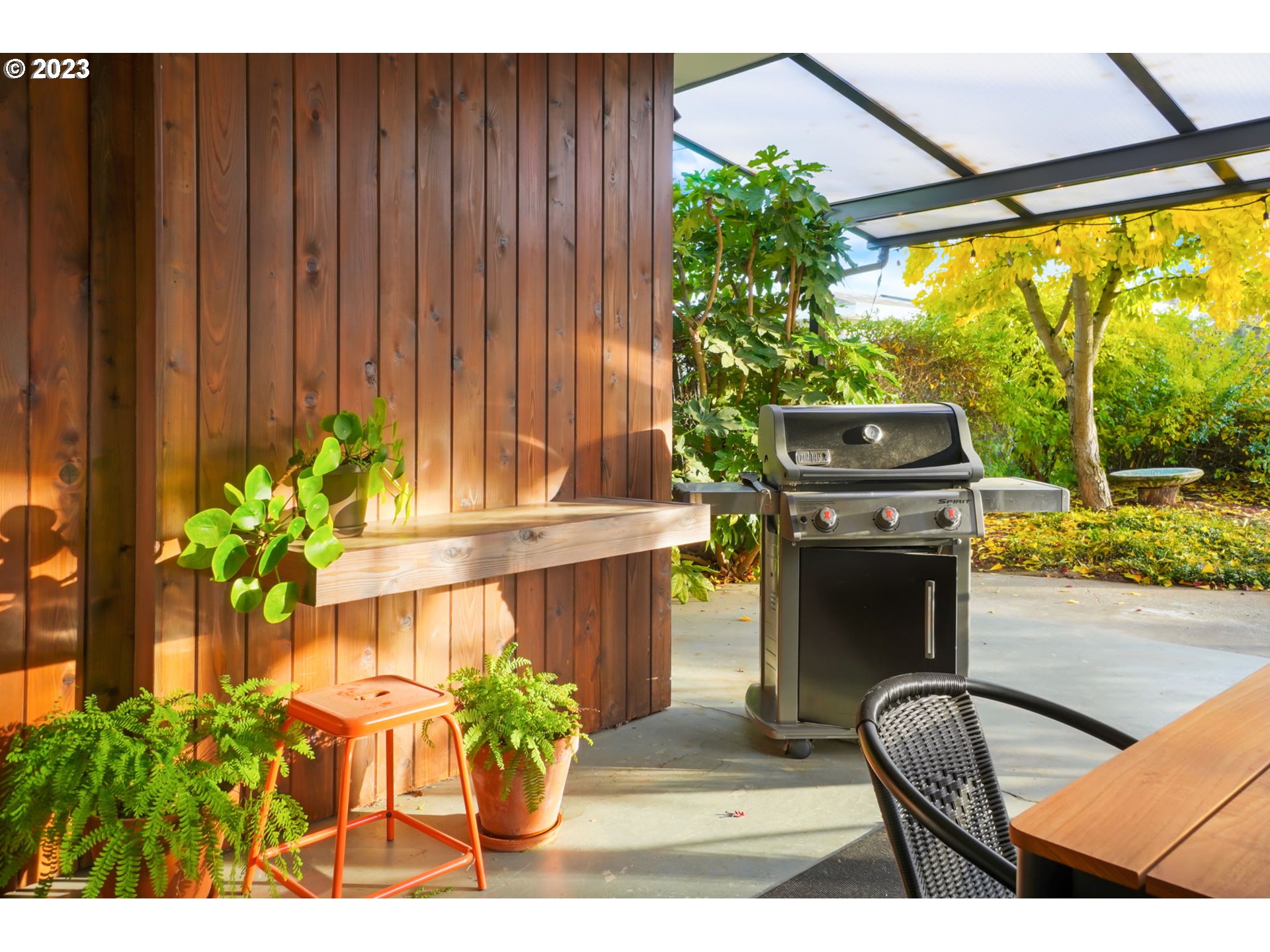 4020 Northeast Rosa Parks Way Portland, OR 97211 - Photo 38 of 48 a kitchen with a sink and a potted plant