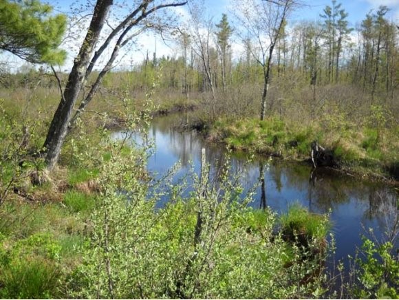 L3 Coffin Brook Road Alton, NH 03809 - Photo 1 of 7