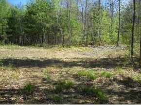 L3 Coffin Brook Road Alton, NH 03809 - Photo 5 of 7