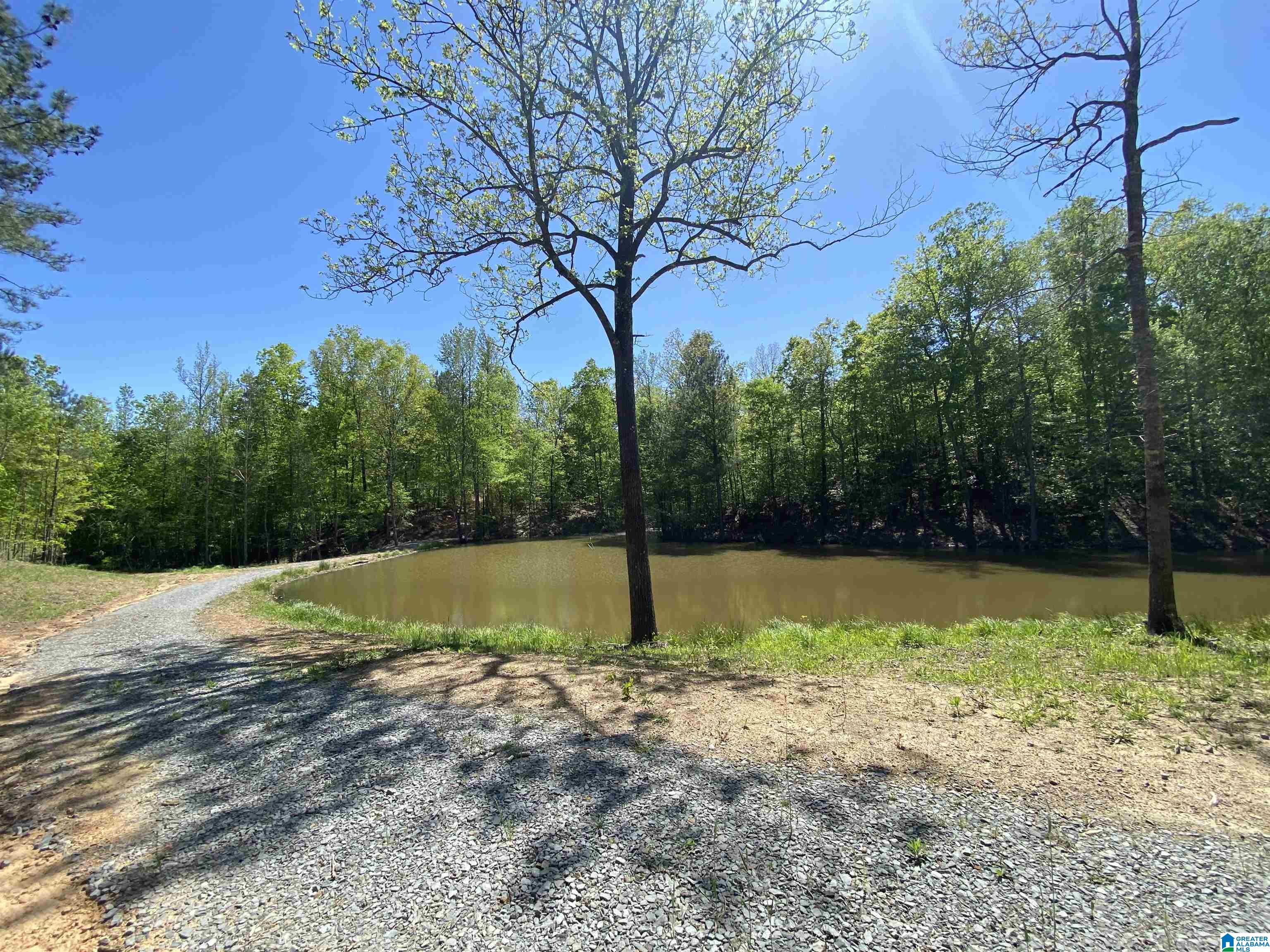 8346 Serene Lake Road McCalla, AL 35111 - Photo 15 of 24