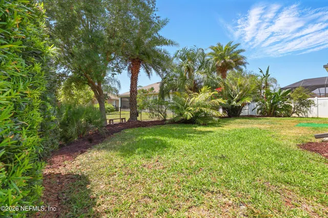 a view of a yard with a tree