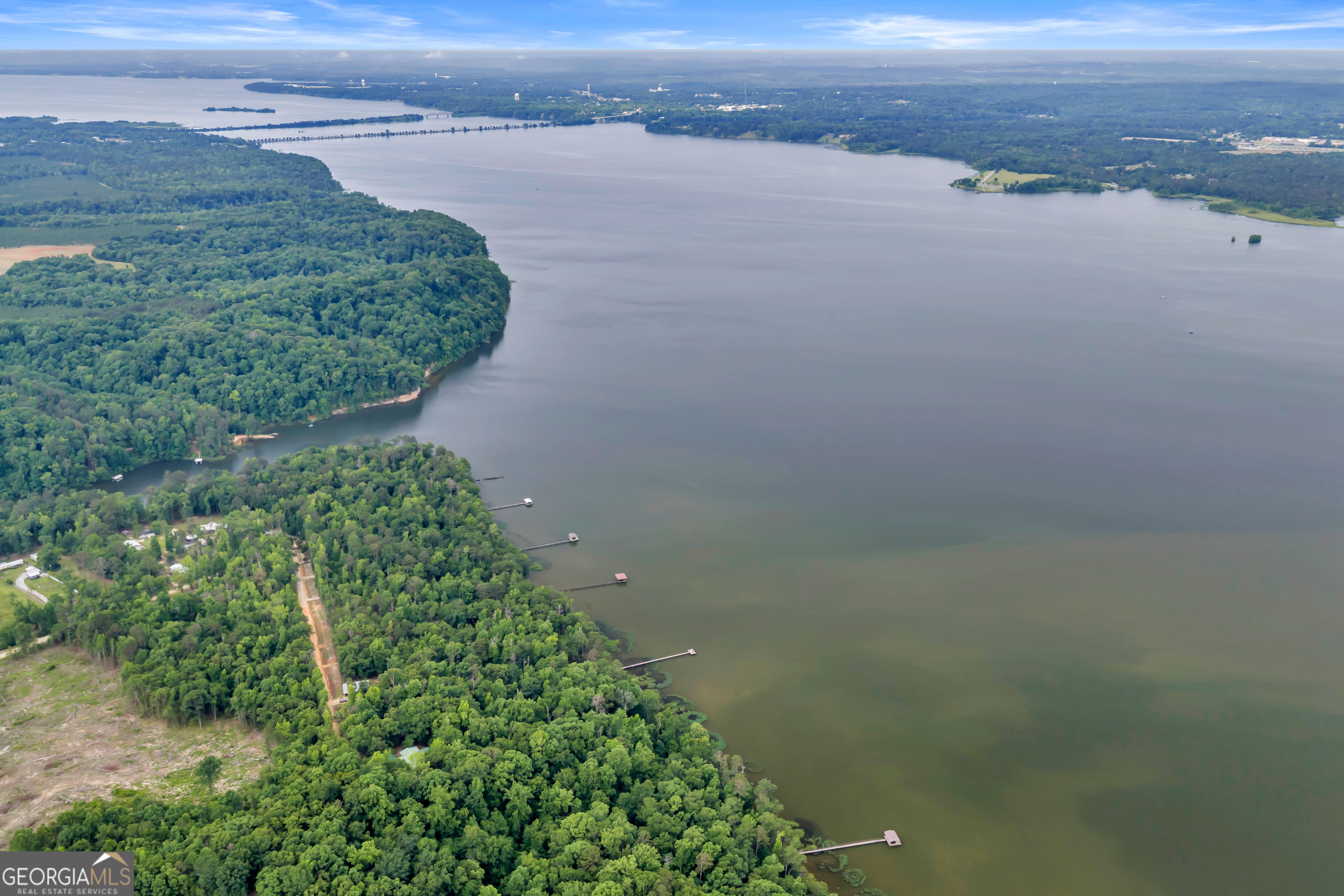 473 Vining Branch Road Georgetown, GA 39854 - Photo 22 of 43 a view of a lake from a yard