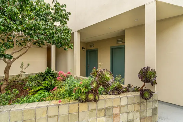 a hallway with potted plant in front of it