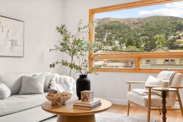 a living room with furniture and a potted plant