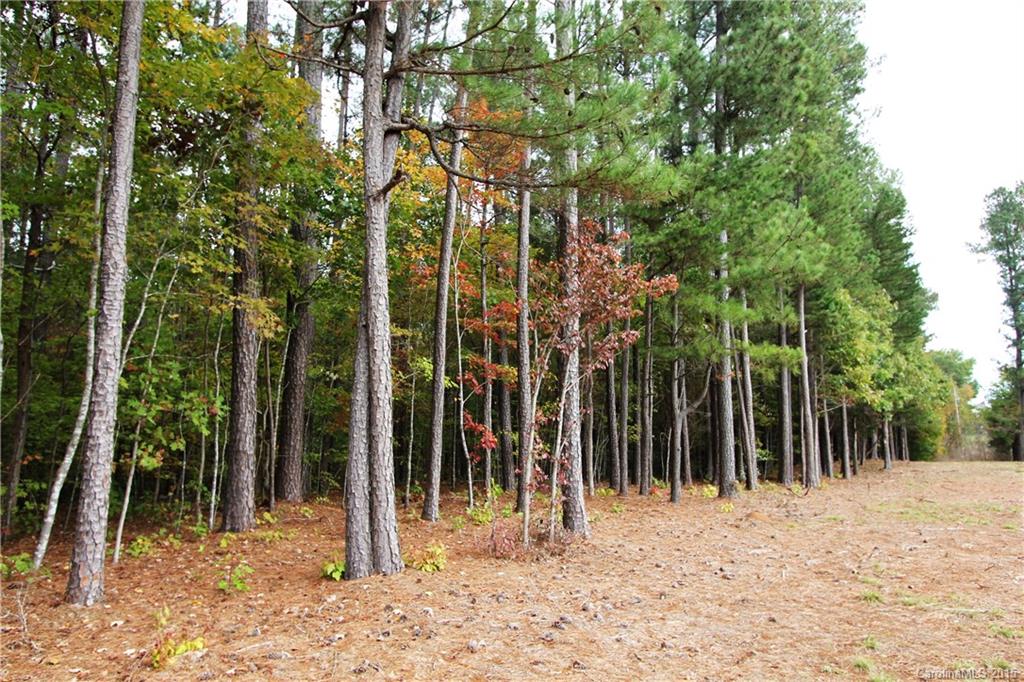 0 Hough Road Polkton, NC 28135 - Photo 4 of 9 Gallery Image 4